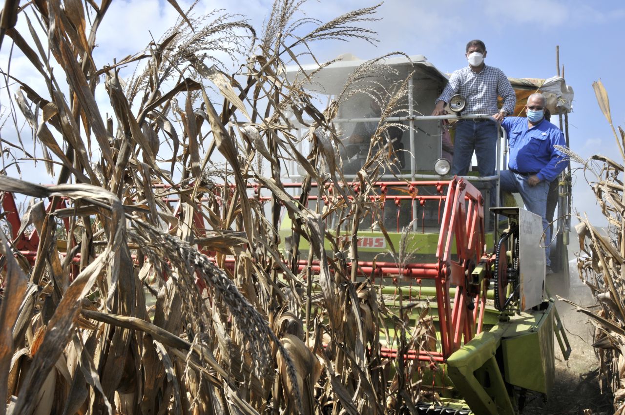 Video: Con equipos de alta tecnología, Agricultura revoluciona cultivo de maíz en el país
