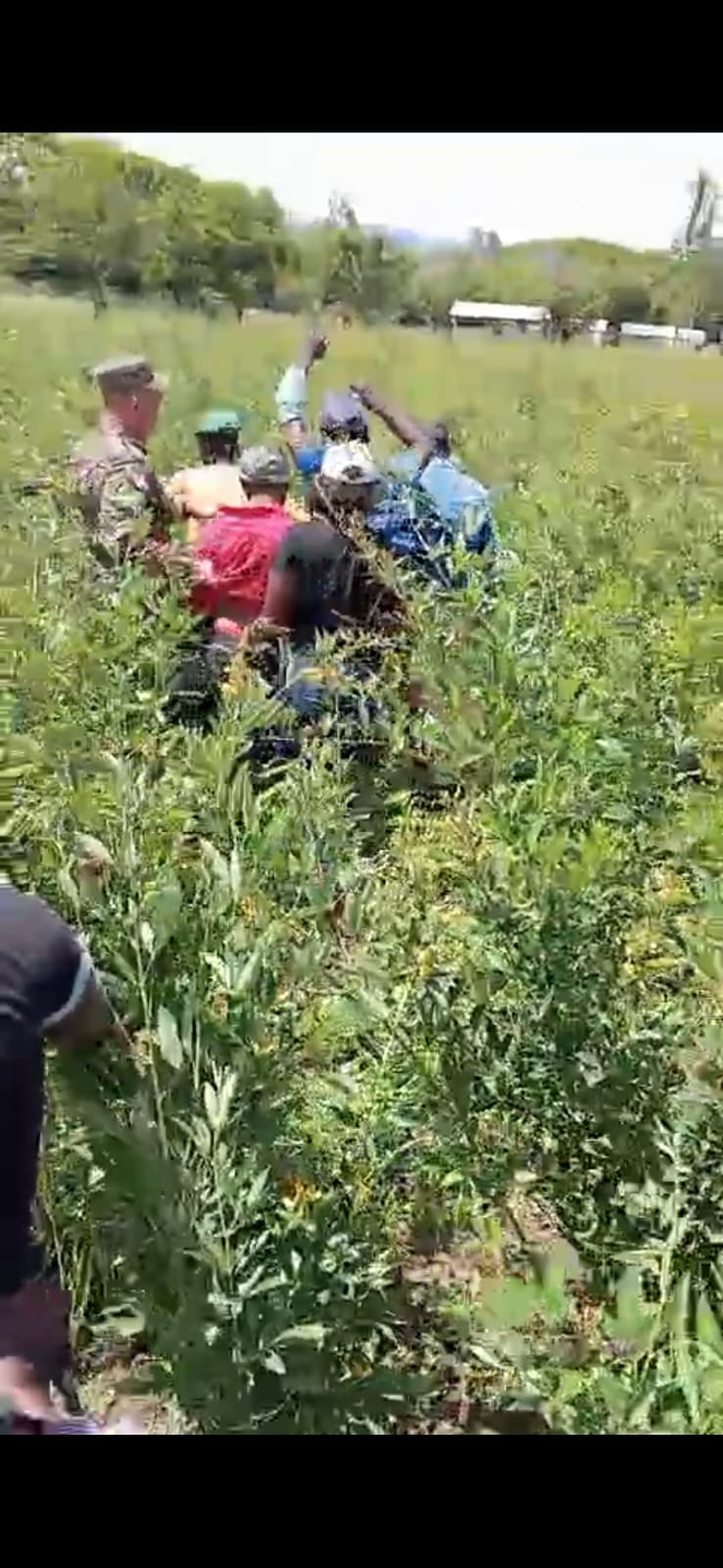 Apresan clan de inmigrantes indocumentados escondido en matorrales en San Juan de la Maguana Apresan clan de inmigrantes indocumentados escondido en matorrales en San Juan de la Maguana